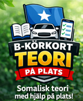 Somalisk teori på plats