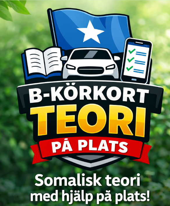Somalisk teori på plats
