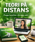 Teori Distans